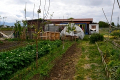 imagenes-la-huerta-de-gui-huertos-familiares-agricultura-ecologica-en-Granada-22