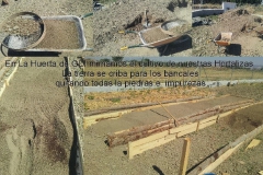 imagenes-la-huerta-de-gui-huertos-familiares-agricultura-ecologica-en-Granada-54